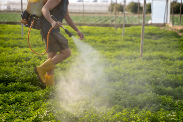 Best Local Pest Control Services  in North Hudson, WI