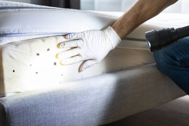 Best Best Pest Control Companies  in North Hudson, WI