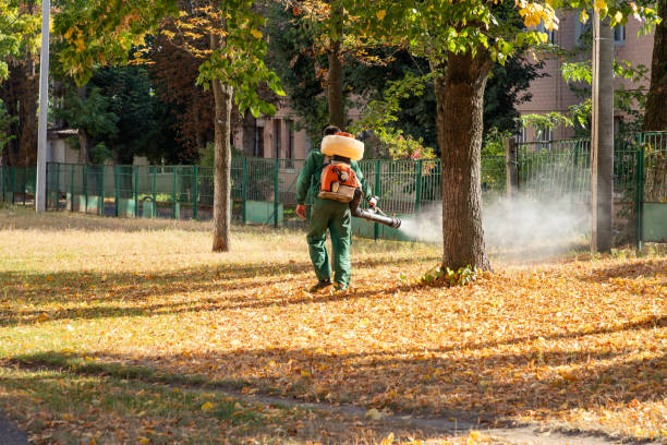 Best Pest Removal Services  in North Hudson, WI